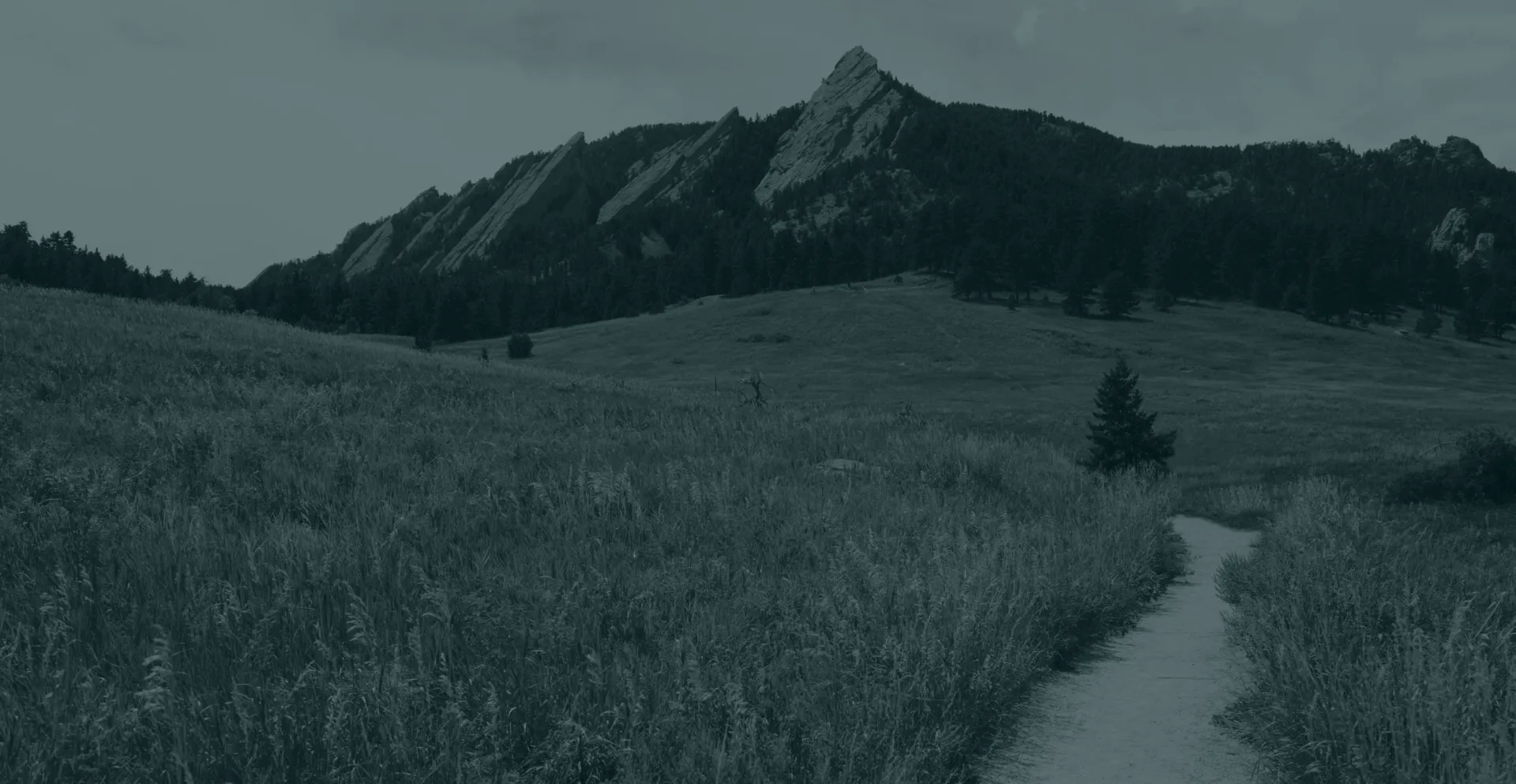 background com paisagem